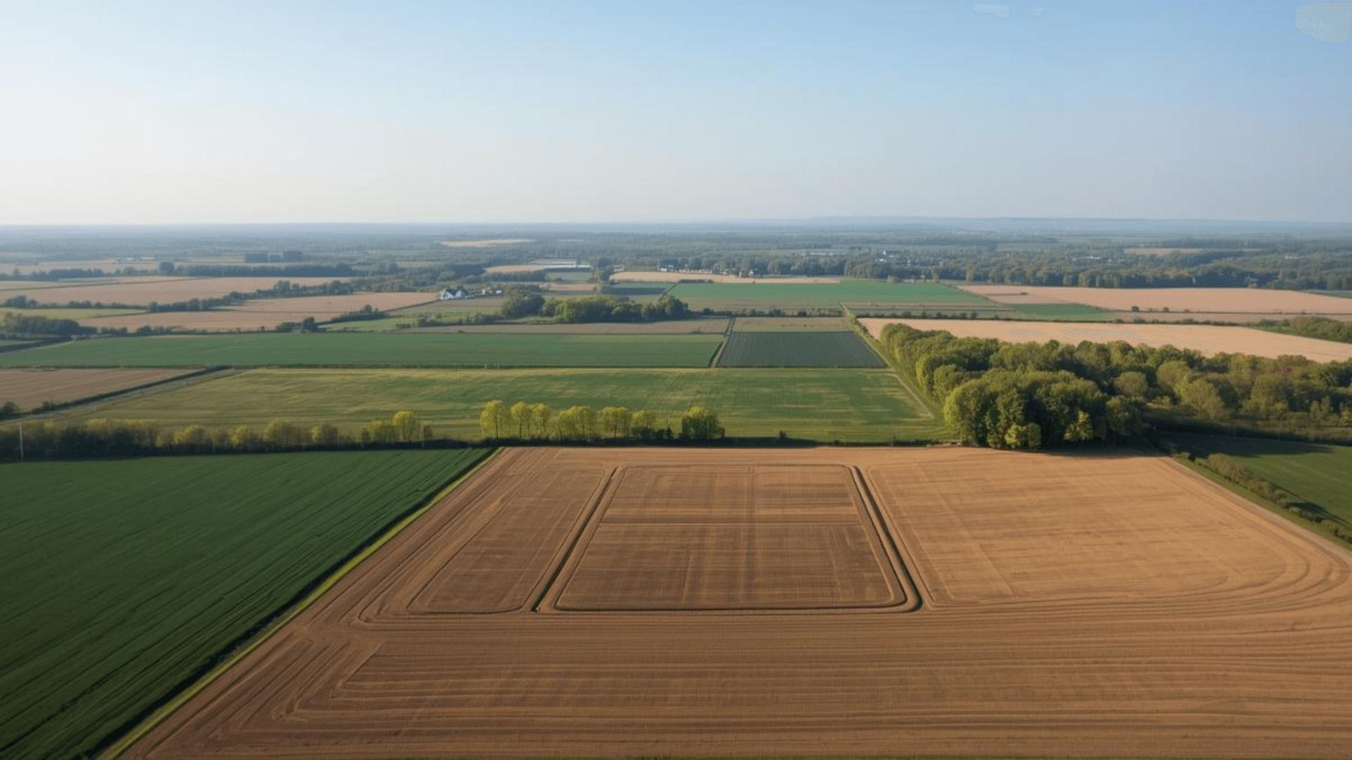 Farmland landscape